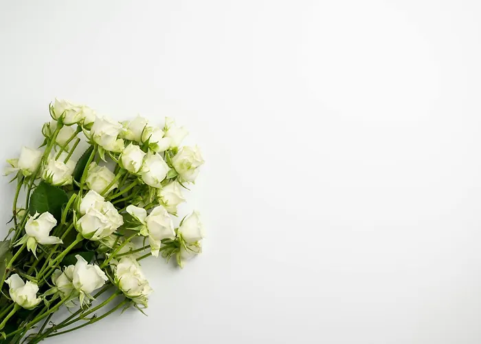 Lalloudes Seaside Sea And Pool View فندق مبيت وإفطار